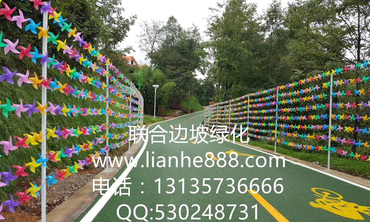貴州六盤水大河堡國學館風景旅游區(qū)邊坡復綠