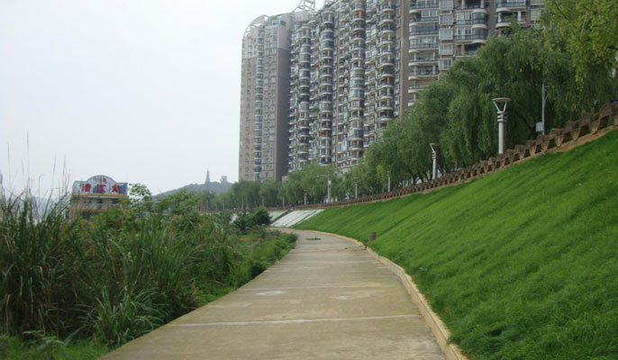 河道及庫區(qū)邊坡整治及復綠
